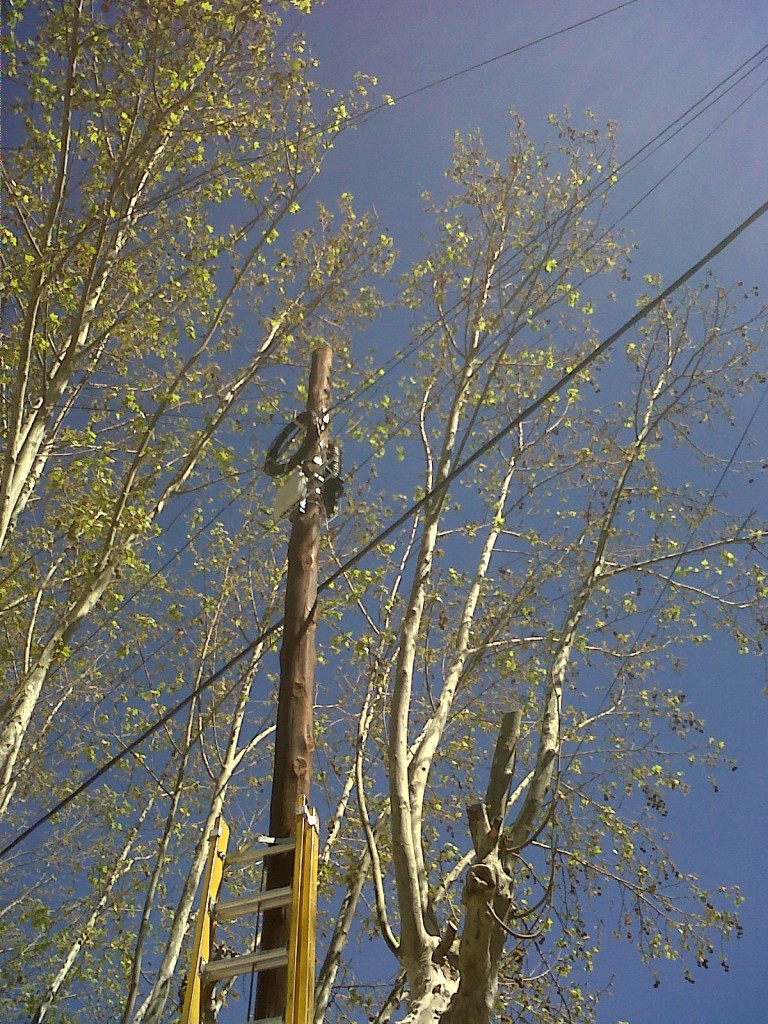 IMG00056-20120919-1347